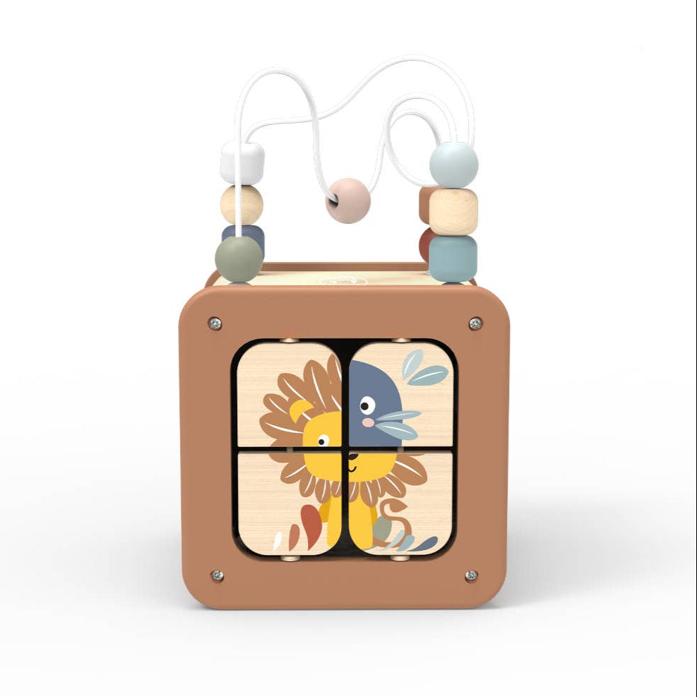 5-in-1 Activity Cube