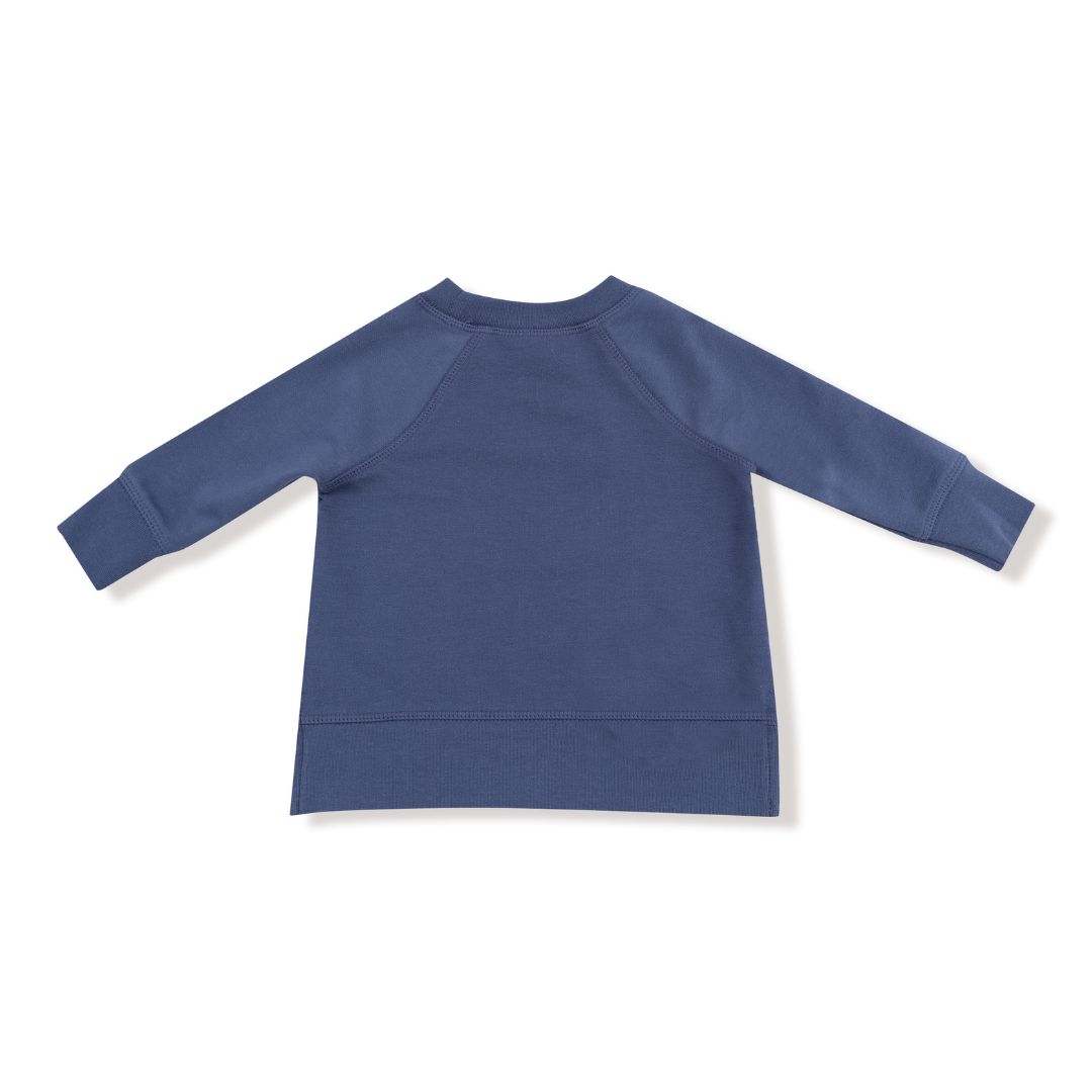 Sibling Big Bro Sweatshirt