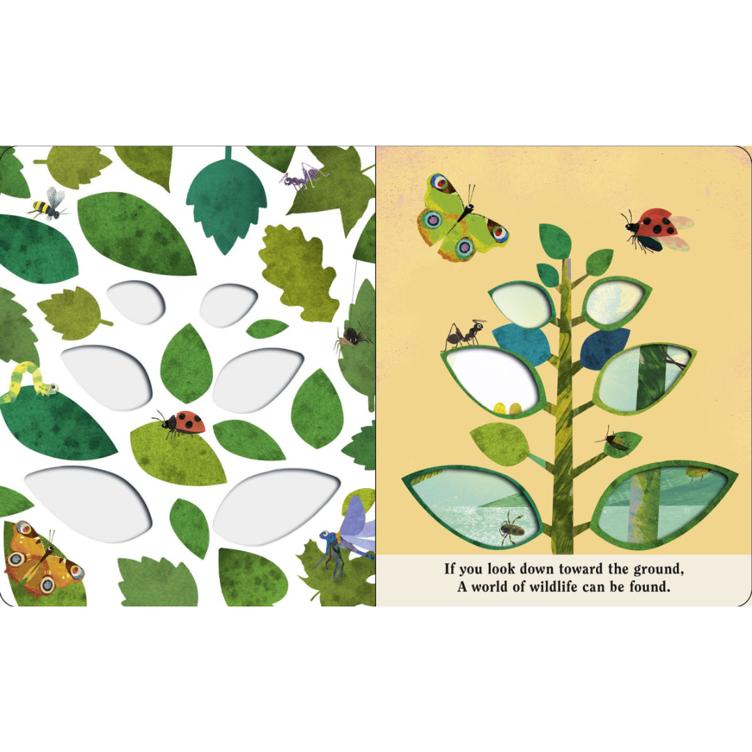 Bugs: A Peek-Through Board Book