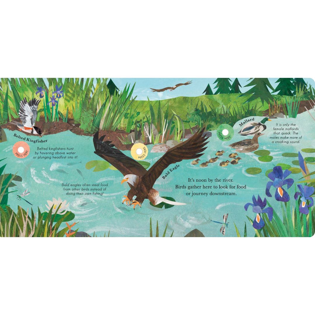 Songs of the Birds Sound Board Book