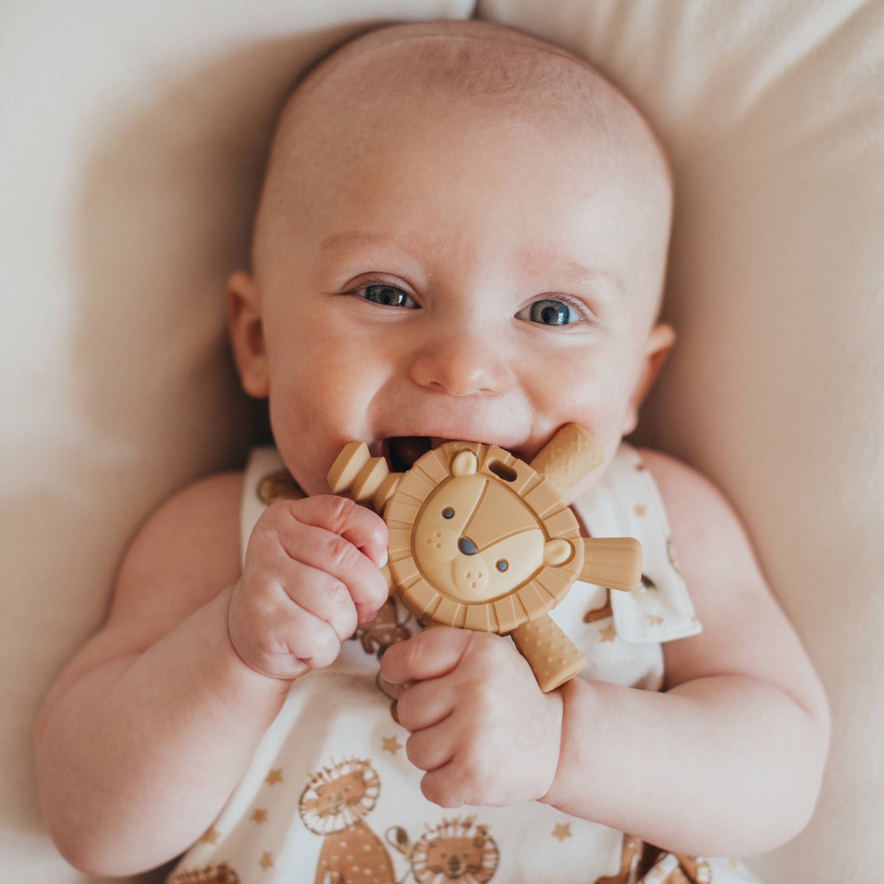 Lion Ritzy Teether™ Baby Molar Teether