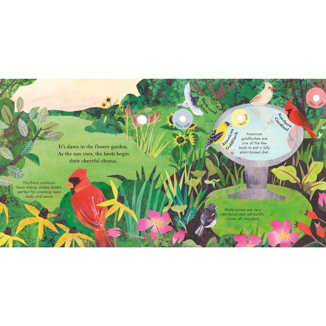 Songs of the Birds Sound Board Book