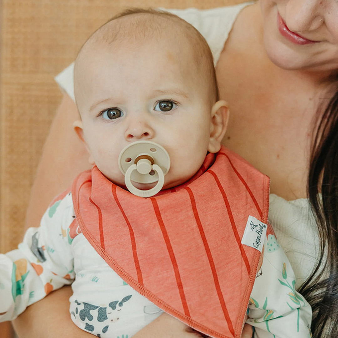 Farmstead  Bandana Bib Set