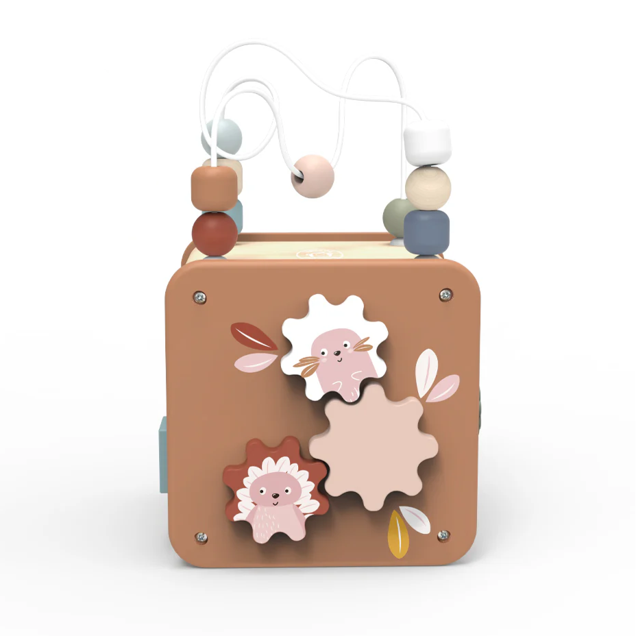 5-in-1 Activity Cube