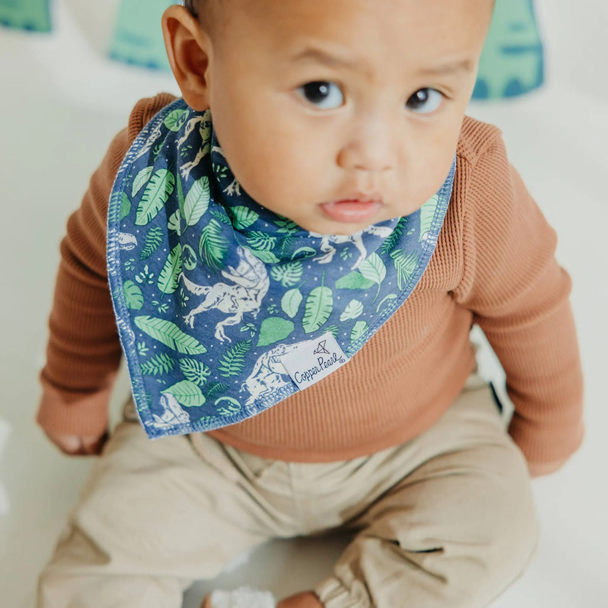 Jurassic Park Bandana Bib Set 4-pack