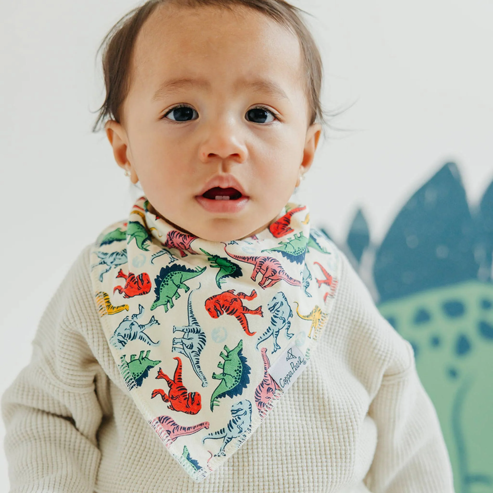 Jurassic Park Bandana Bib Set 4-pack