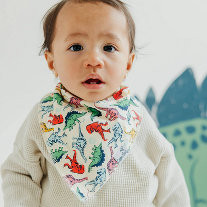 Jurassic Park Bandana Bib Set 4-pack