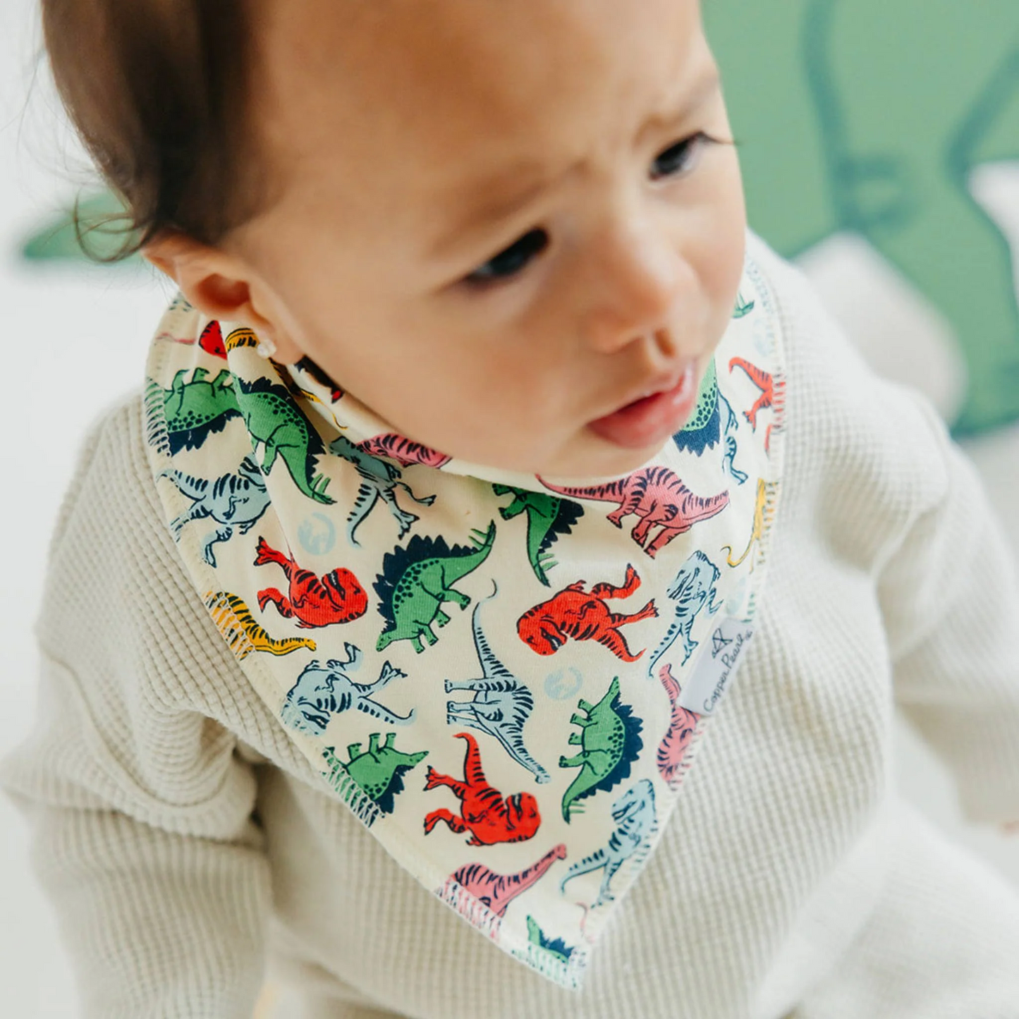 Jurassic Park Bandana Bib Set 4-pack