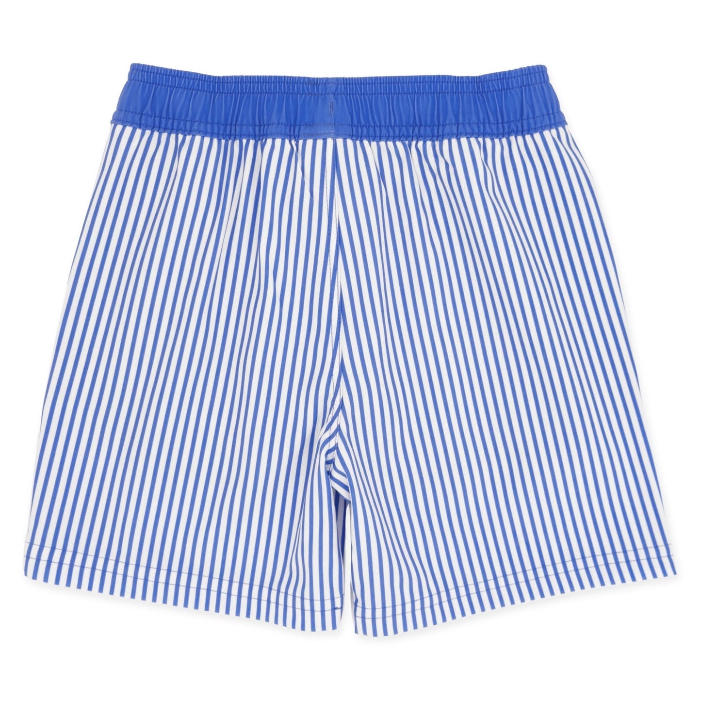 Marina Blue Volley Swim Trunk
