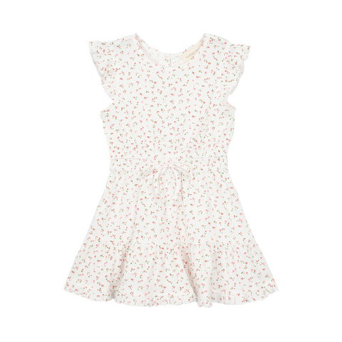 Picnic Perfect Dress
