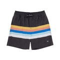 Vintage Stripe Volley Swim Trunk