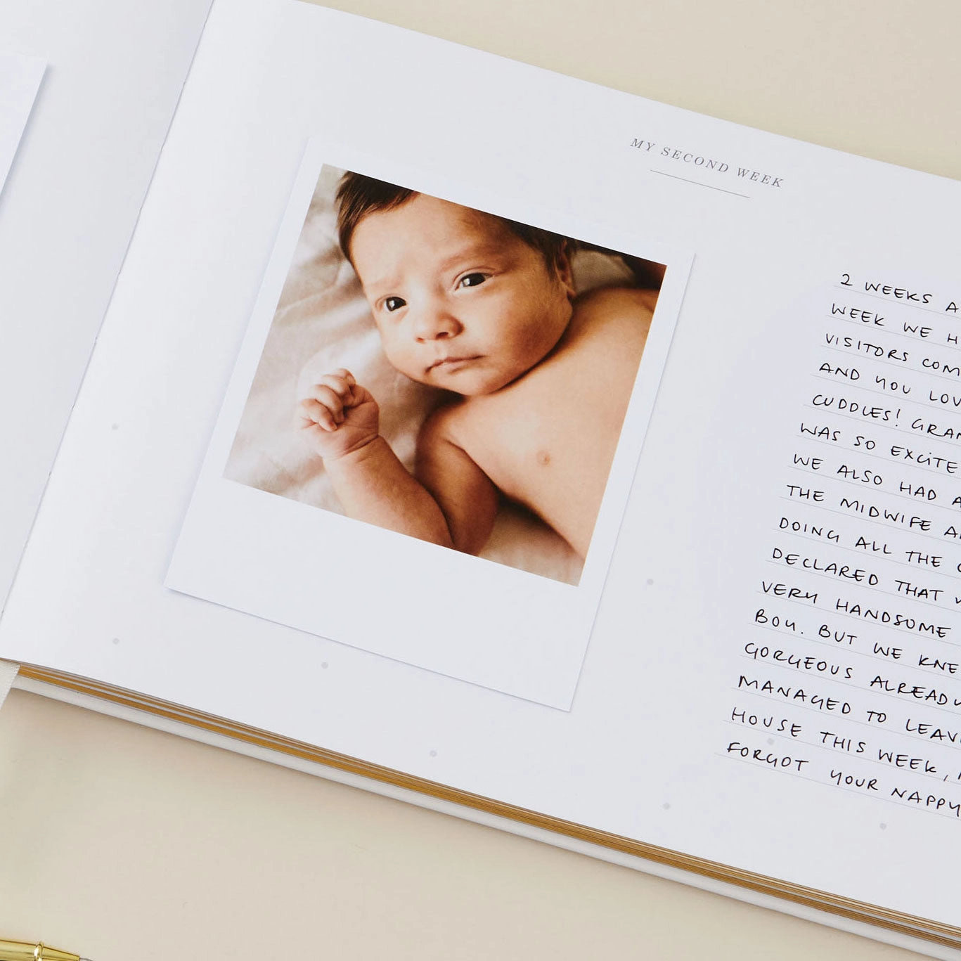 Safari Baby Memory Book