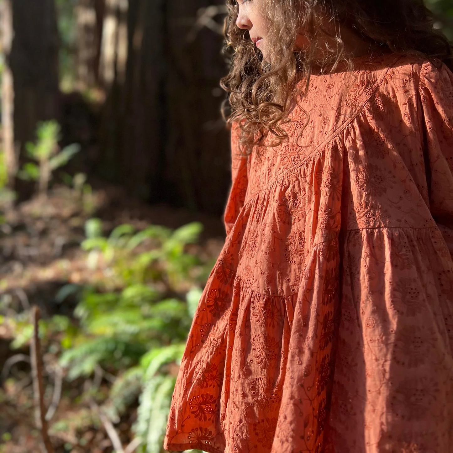 Rust Muir Woods Eyelet Dress