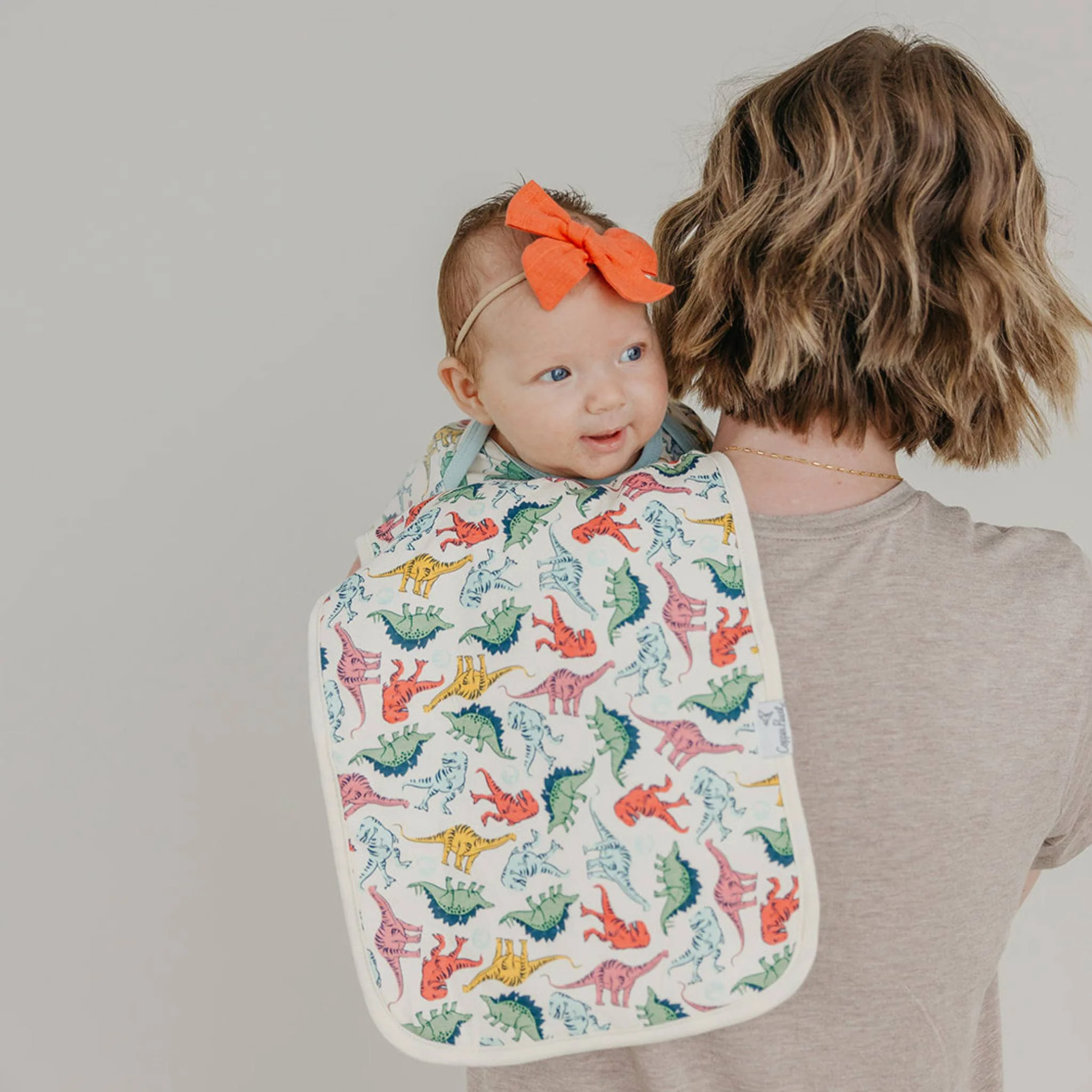 Jurassic Park Burp Cloth Set 3 Pack