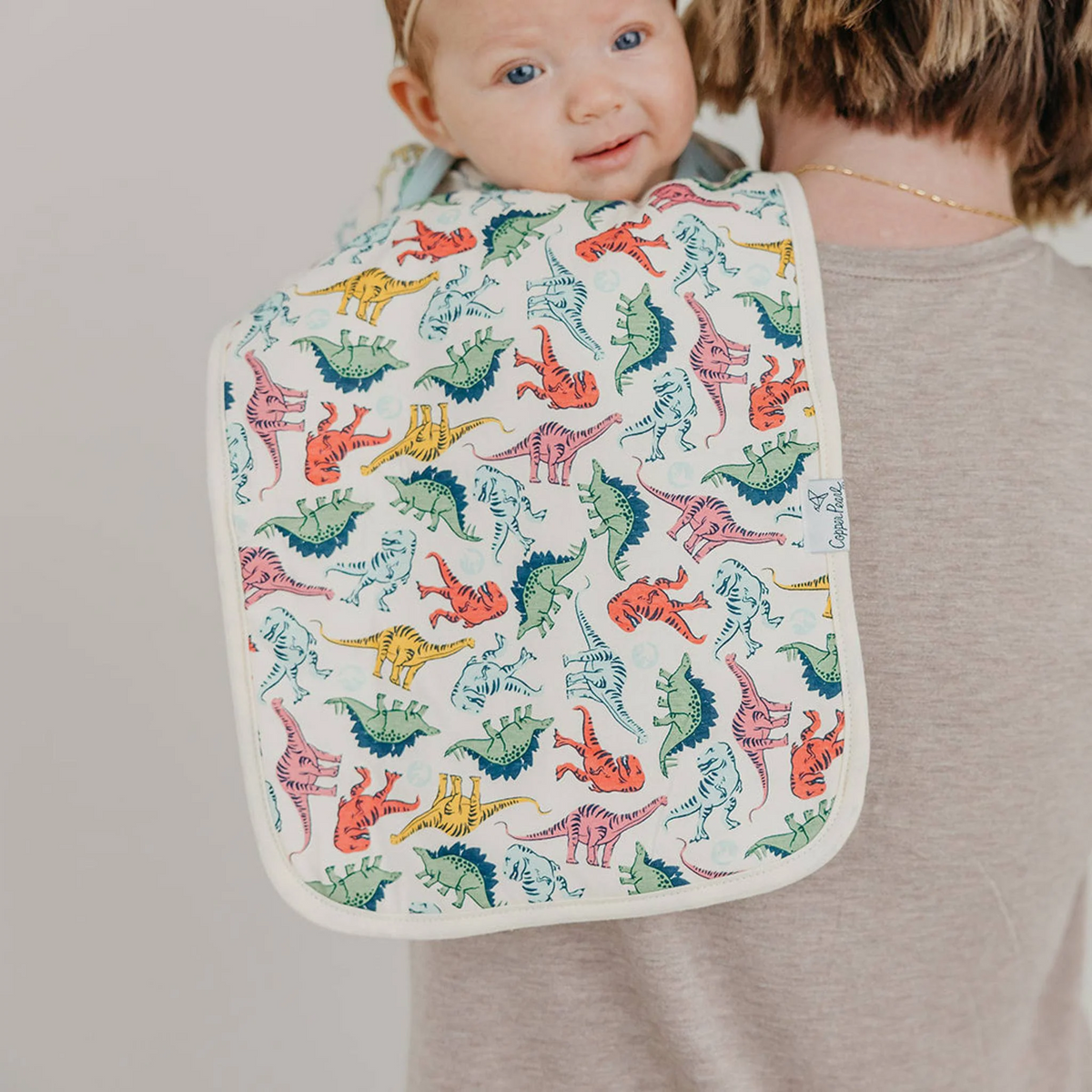Jurassic Park Burp Cloth Set 3 Pack