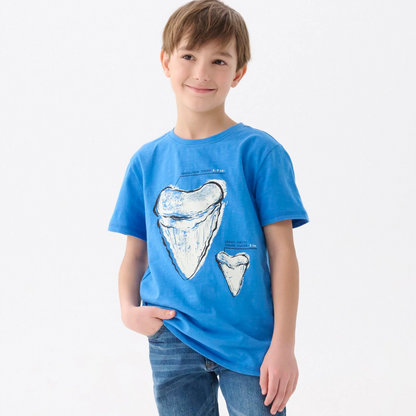 Megalodon Tooth Graphic Tee