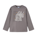 Triceratops Glow-in-the-Dark Top