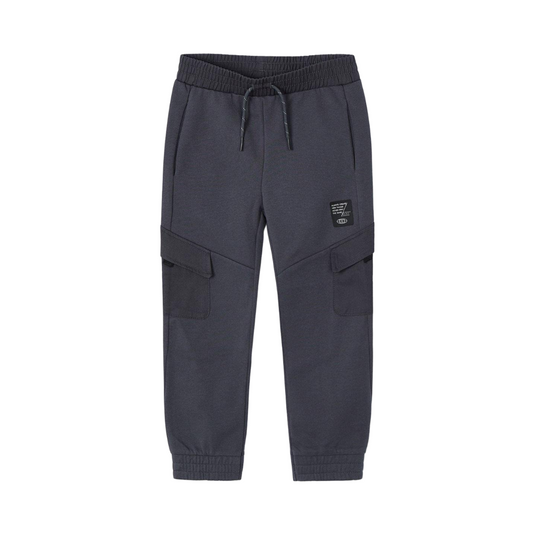 Asphalt Cargo Pants