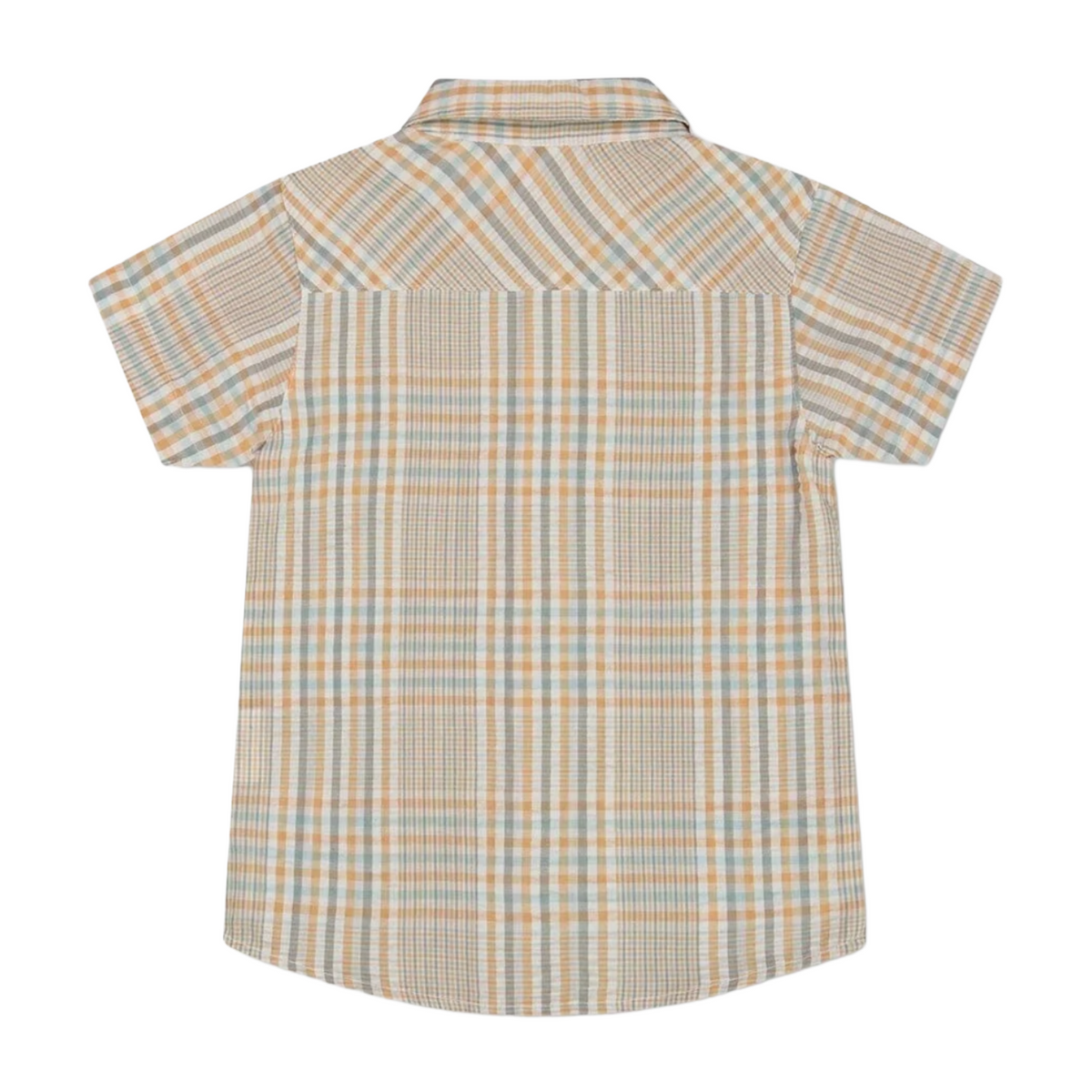 Plaid Sand and Blue Shirt
