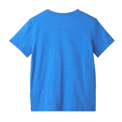 Megalodon Tooth Graphic Tee