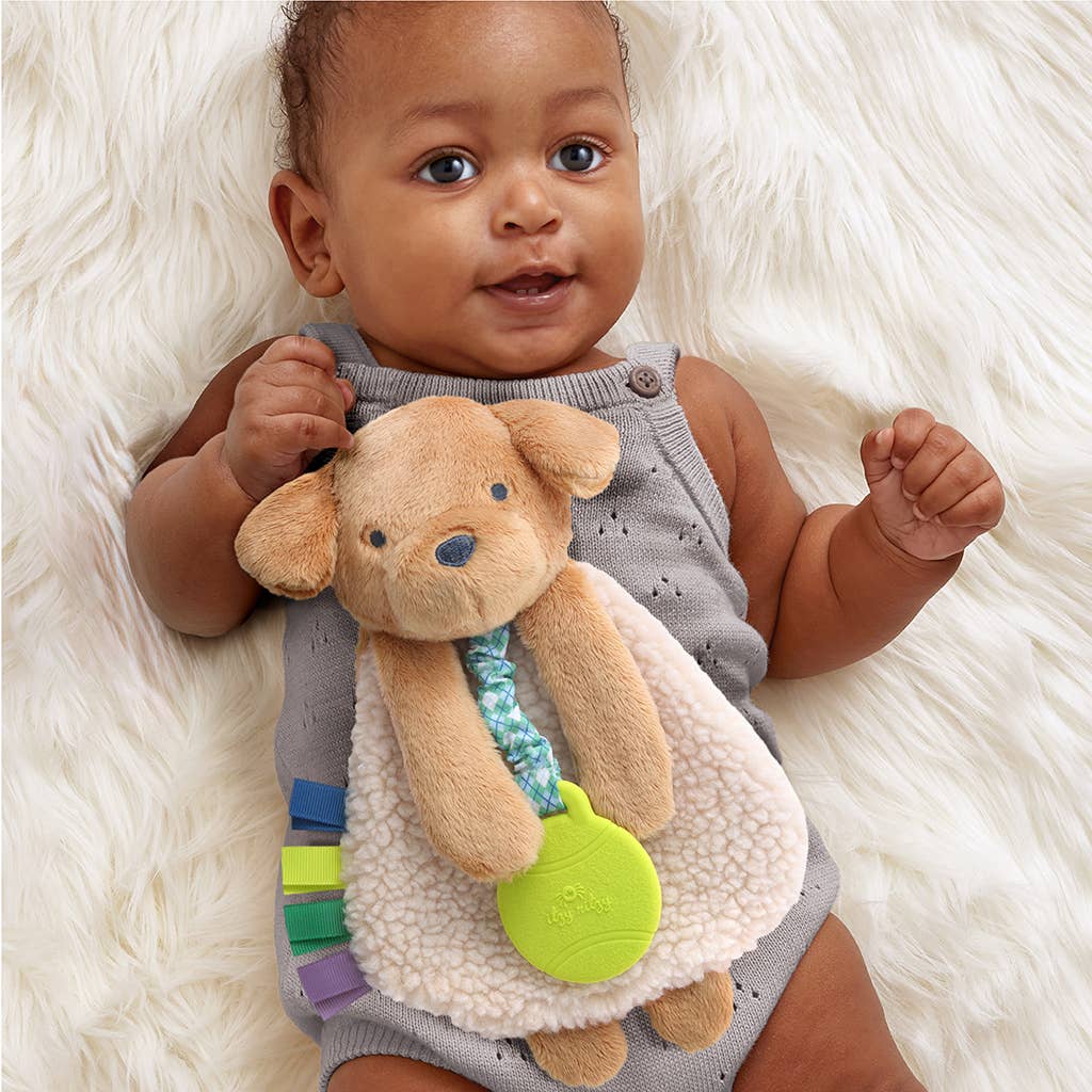 Puppy Itzy Lovey™ Plush and Teether Toy