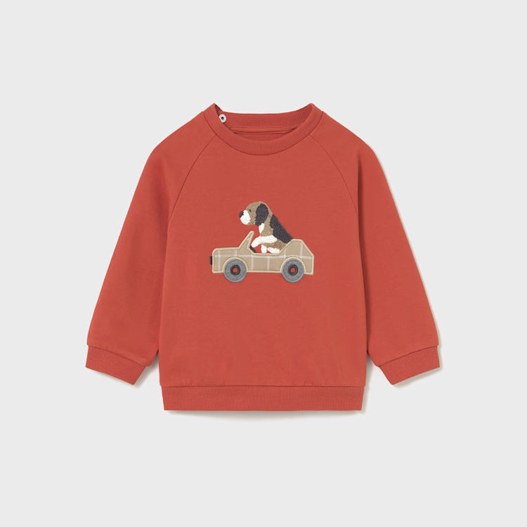 Orange Puppy Car Pullover