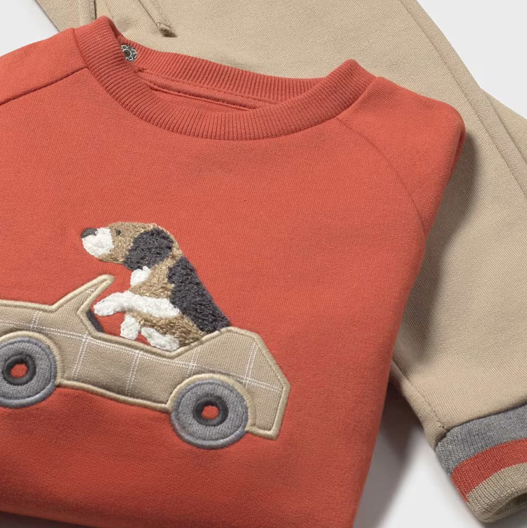 Orange Puppy Car Pullover