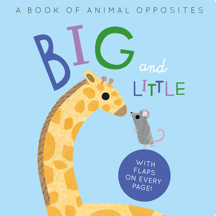 Big and Little Book