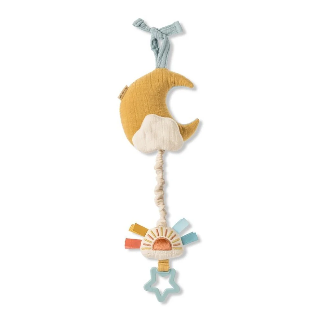 Bitzy Notes Musical Pull Down Toy