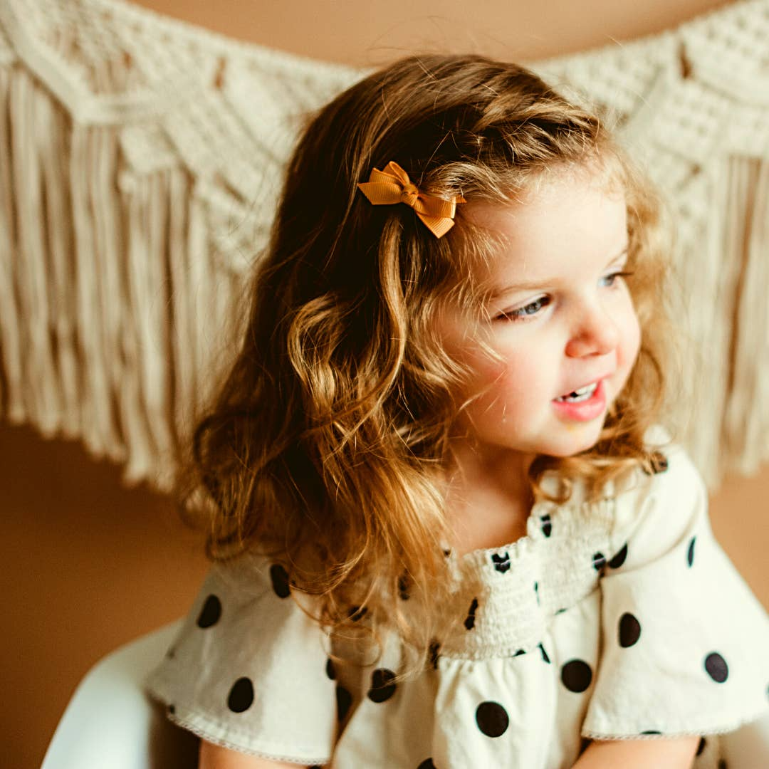 Chelsea Grosgrain Bows on Snap Clips (Set of 5): Bow Addict