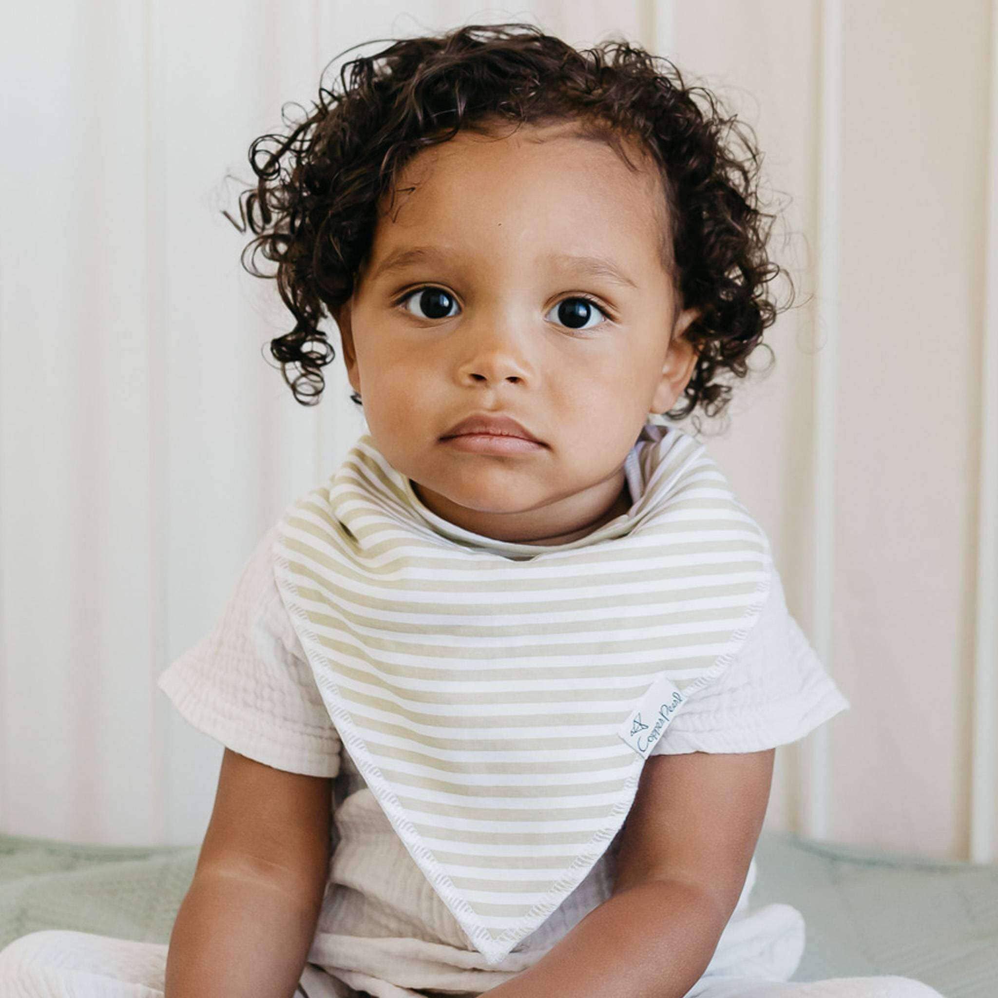 4 Pack Baby Bandana Bibs - Rex