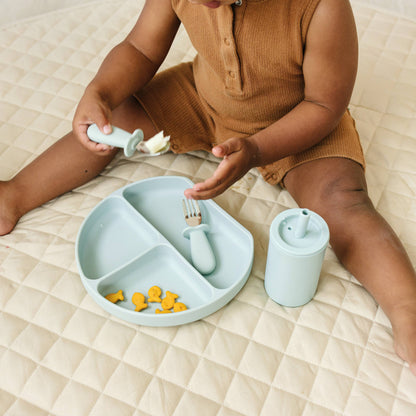 Divided Suction Plate