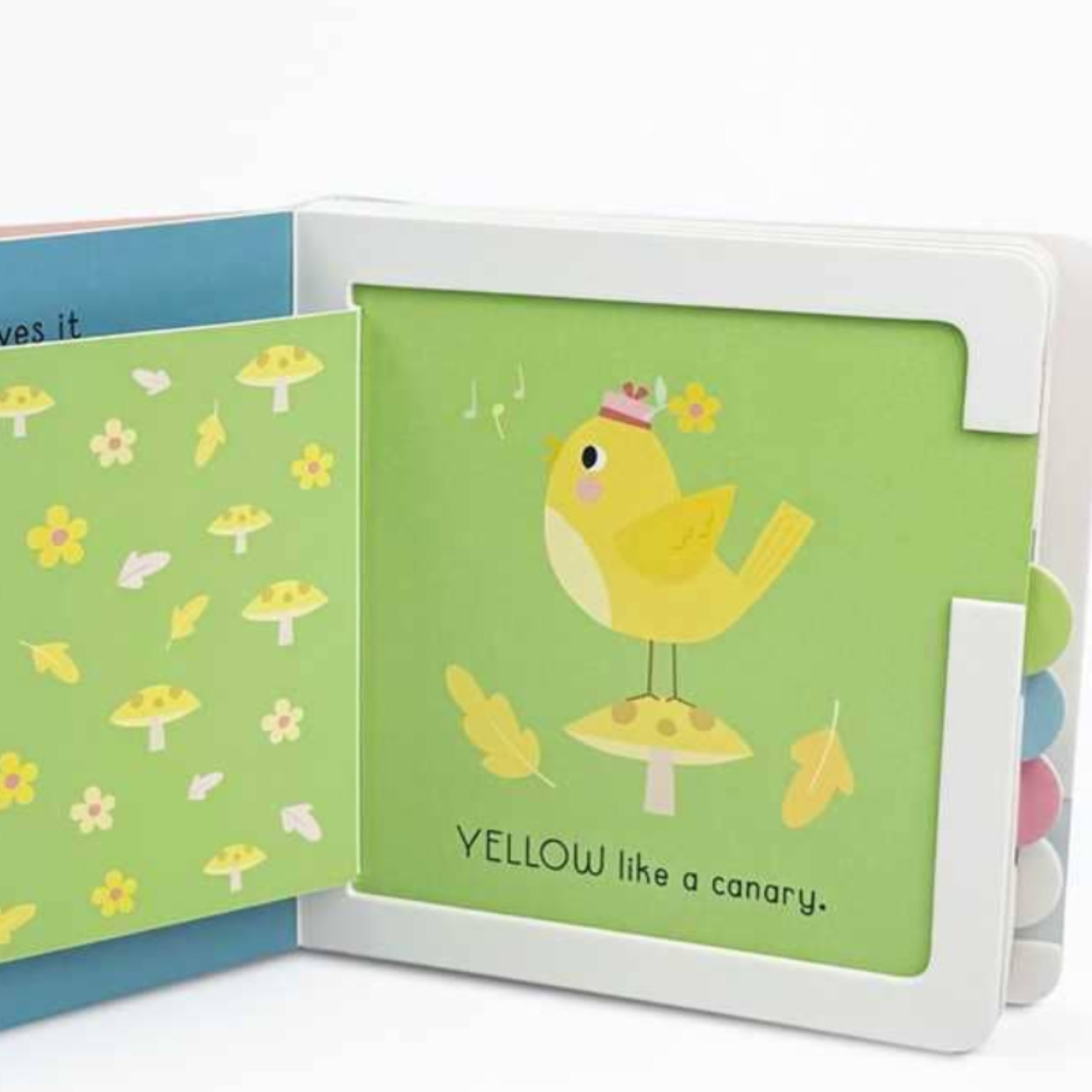 Chunky Lift-a-Flap Book