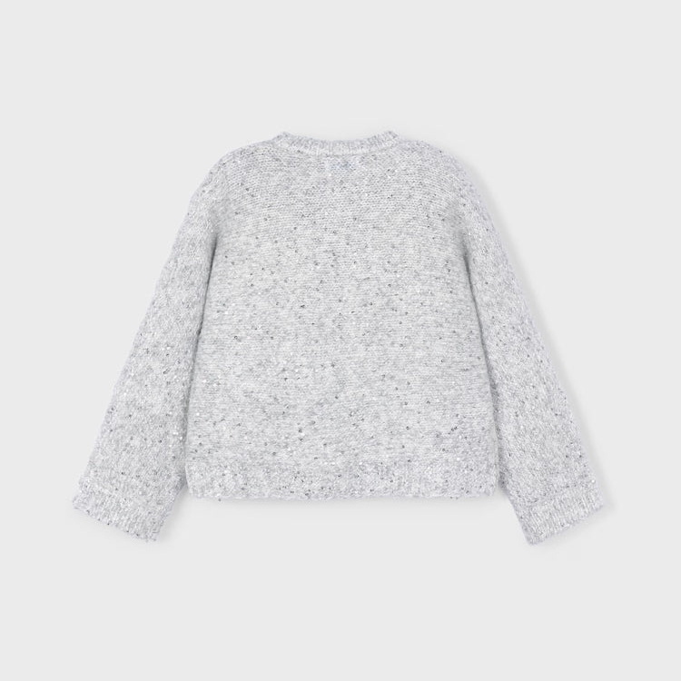 Silver Sequins Sweater