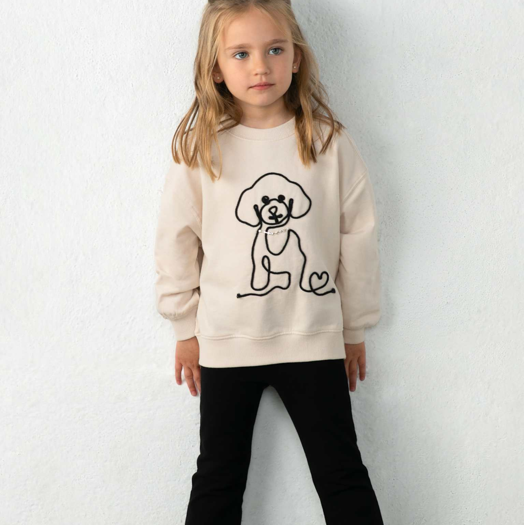 Fabulous Puppy Set