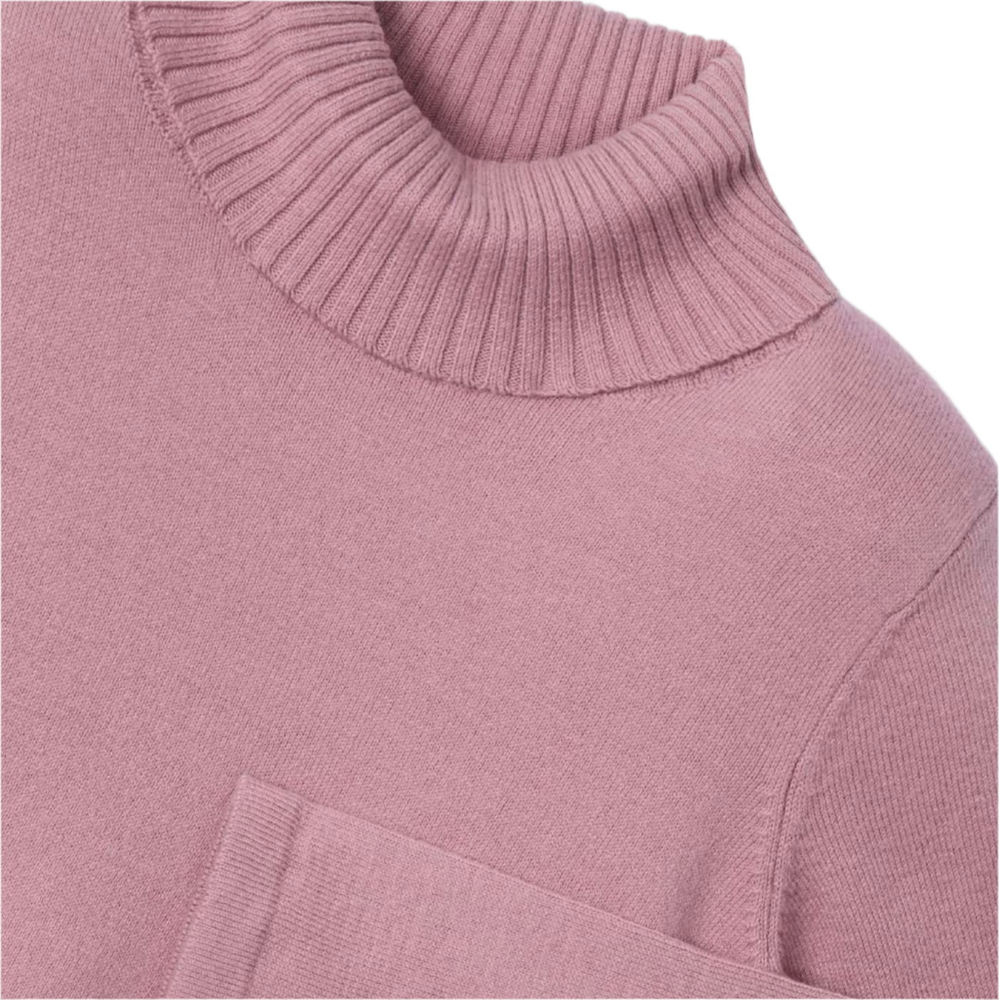 Rose Basic Knit Turtleneck