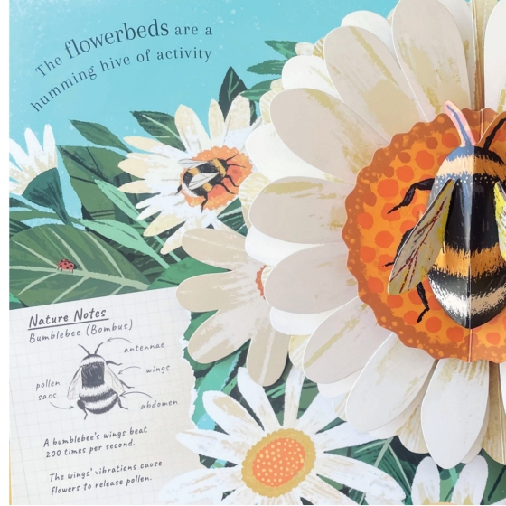 Interior pop-up page of Beautiful Bugs book showing a dragonfly and snail scene for young children