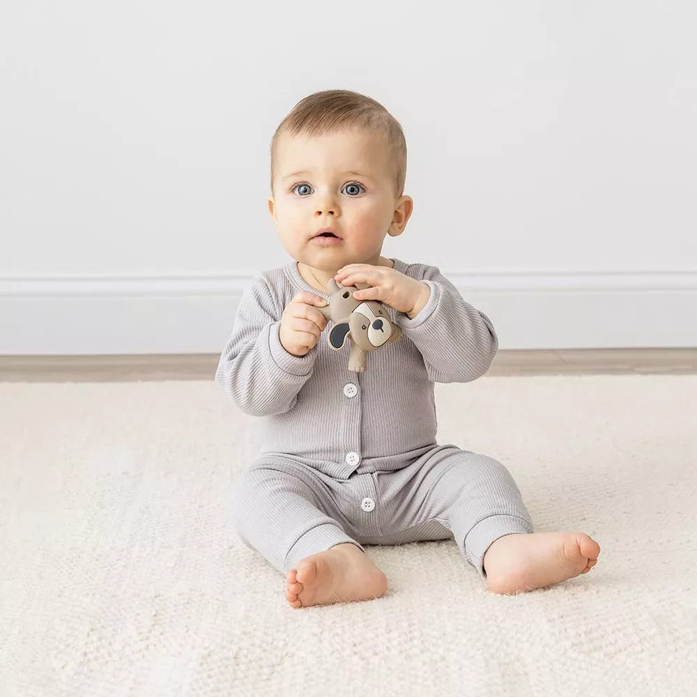 Puppy Ritzy Teether™ Baby Molar Teether
