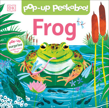 Pop Up Peekaboo Frog
