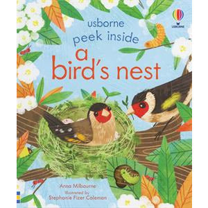 Peek Inside Bird Nest